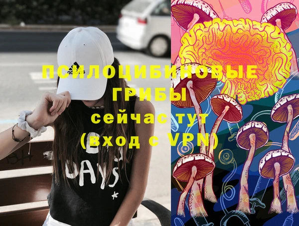 мяу мяу мука Нефтегорск