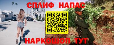 стаф Волгодонск