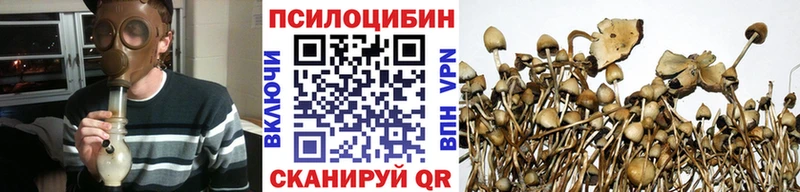 Псилоцибиновые грибы мицелий Нефтекамск