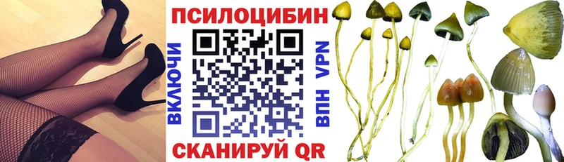 Галлюциногенные грибы Psilocybine cubensis  Нефтекамск 