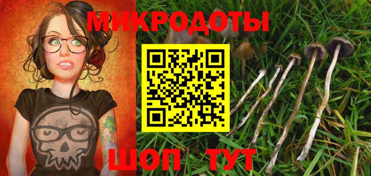 Псилоцибиновые грибы GOLDEN TEACHER  Вход с VPN  Псилоцибиновые грибы MAGIC MUSHROOMS  Нефтекамск 